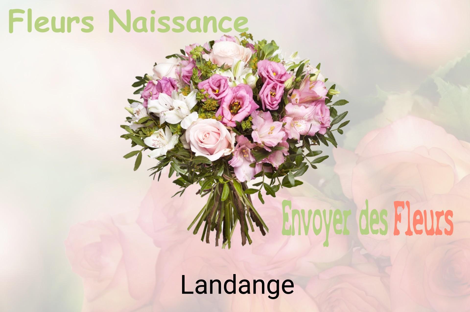 Bouquet de fleurs de naissance livré à Landange